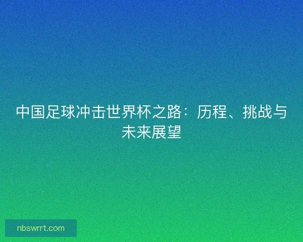 中国足球冲击世界杯之路：历程、挑战与未来展望
